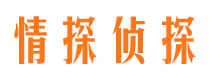 翠屏找人公司